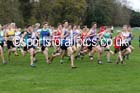 Boys under-15s, British Athletics Liverpool Cross Challenge, Sefton Park, Liverpool. Photo: David T. Hewitson/Sports for All Pics